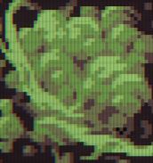 Noxious